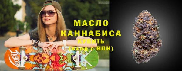 гидра Бронницы