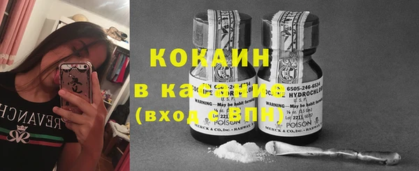 гидра Бронницы