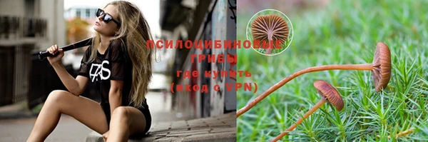 PSILOCYBIN Калининец